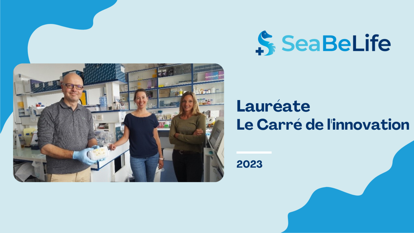 SeaBeLife, start-up soutenue par Angels Santé, Les Business Angels des Grandes Ecoles, Investessor et la coordination régionale Breizh Angels, a remporté le Carré de l'innovation 2023. 